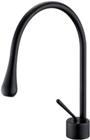 AFB560-BK Aqua Infinity Single Lever  Faucet - Black